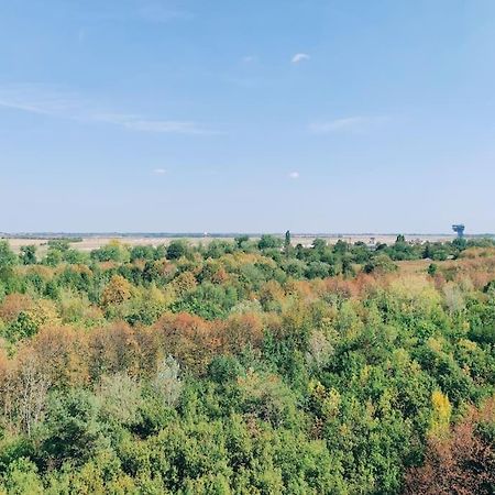 Airport Studio For Two, Free Parking, Airport View Bratislava Dış mekan fotoğraf