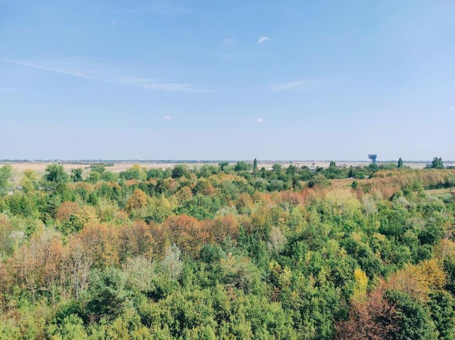 Airport Studio For Two, Free Parking, Airport View Bratislava Dış mekan fotoğraf